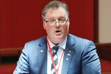 One Nation Senator Rod Culleton speaks in the Senate.