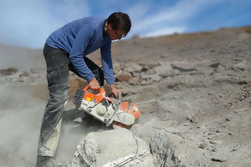 A palaentologist uses a chain saw to cut at fossils and rock at a dig site