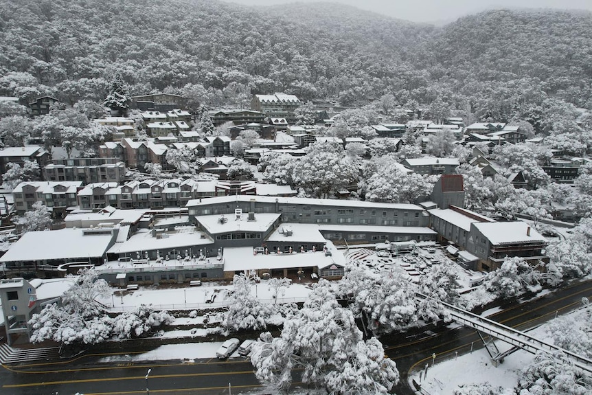 a drone shot of a village covered in snow with snowy trees and buildings