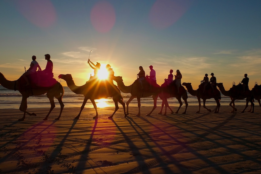 A train of camels walks along a beach at sunset with tourists taking a selfie while riding.