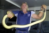 A man holds an olive python