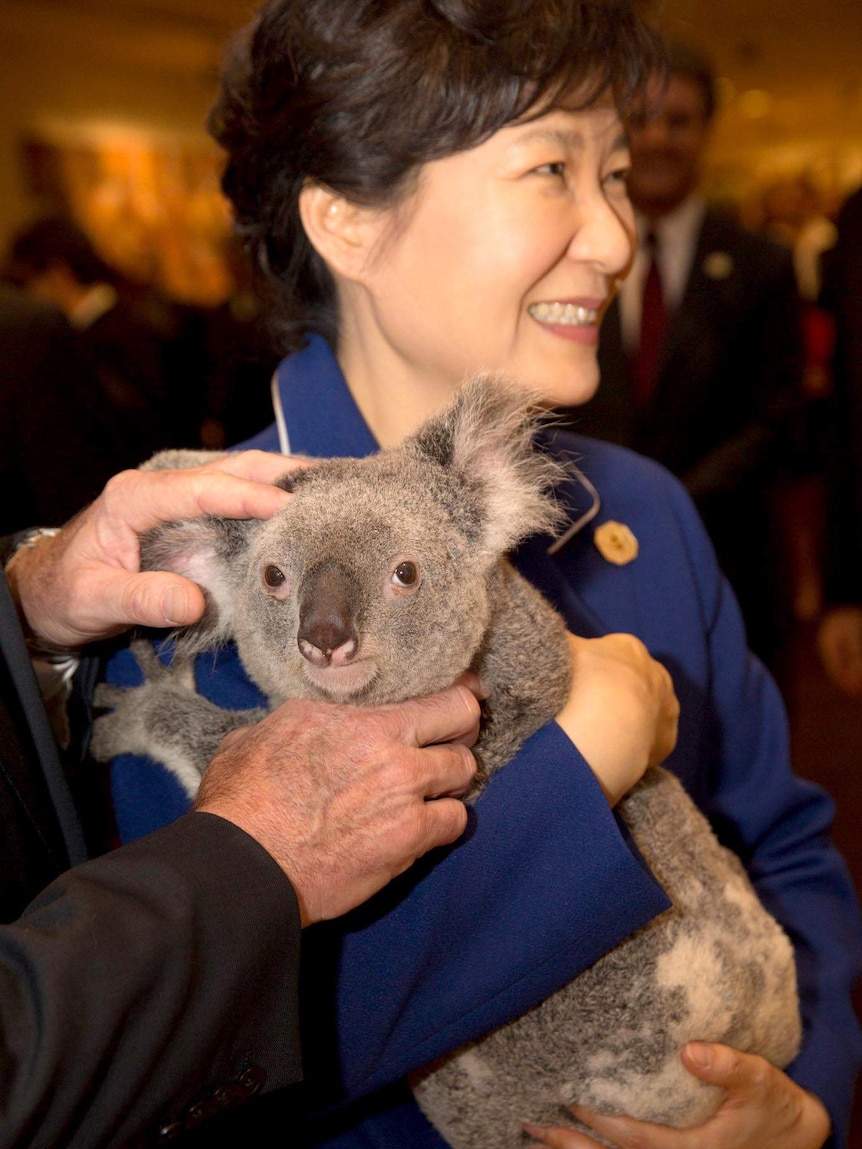 Park Geun-hye with koala