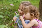 Two children in a garden, smelling pink flowers.