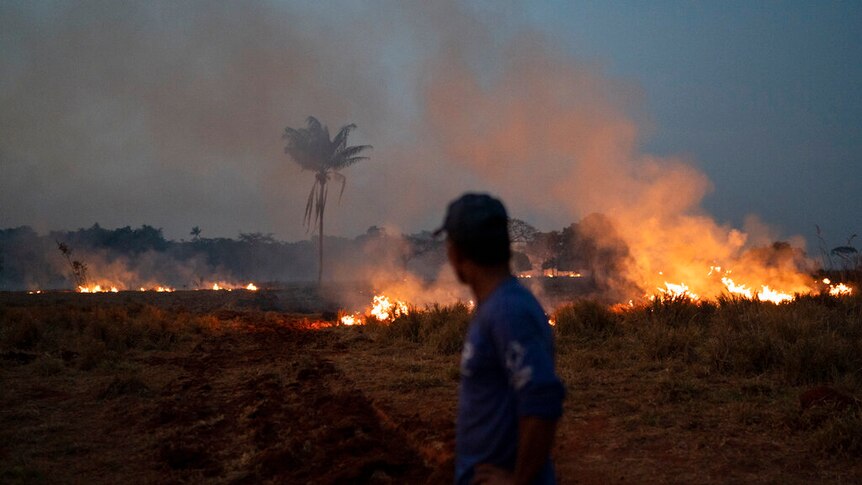 A man  looks on as Amazon rainforest burns in the distance.