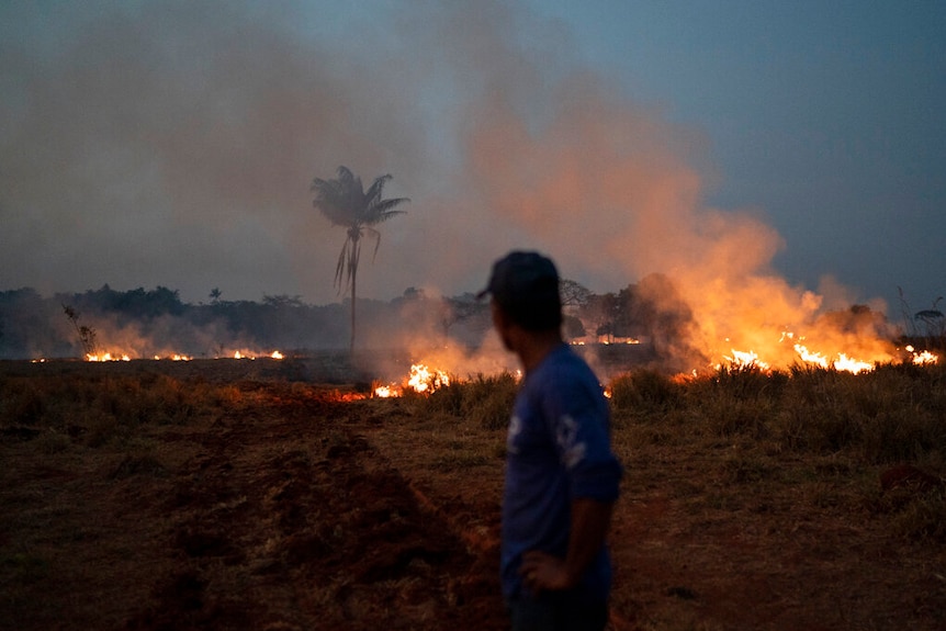 A man  looks on as Amazon rainforest burns in the distance.