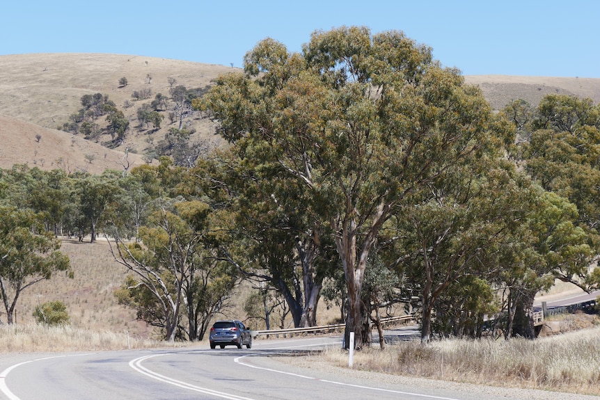 Rural road near Melrose in the Flinders Rangers late October 2023.