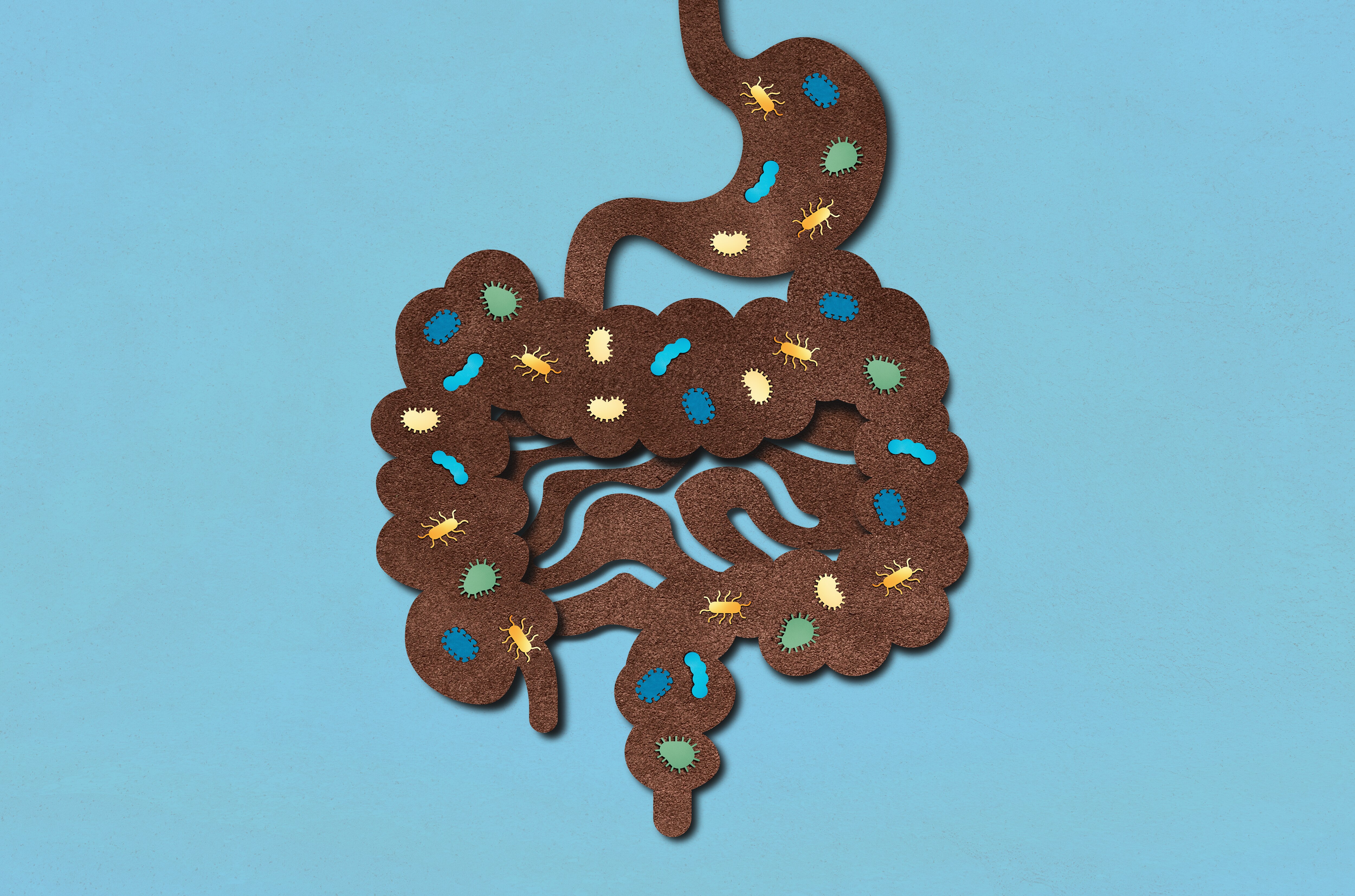 Disordered eating risk in IBS treatment - ABC listen