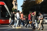 a group of people walking on a road