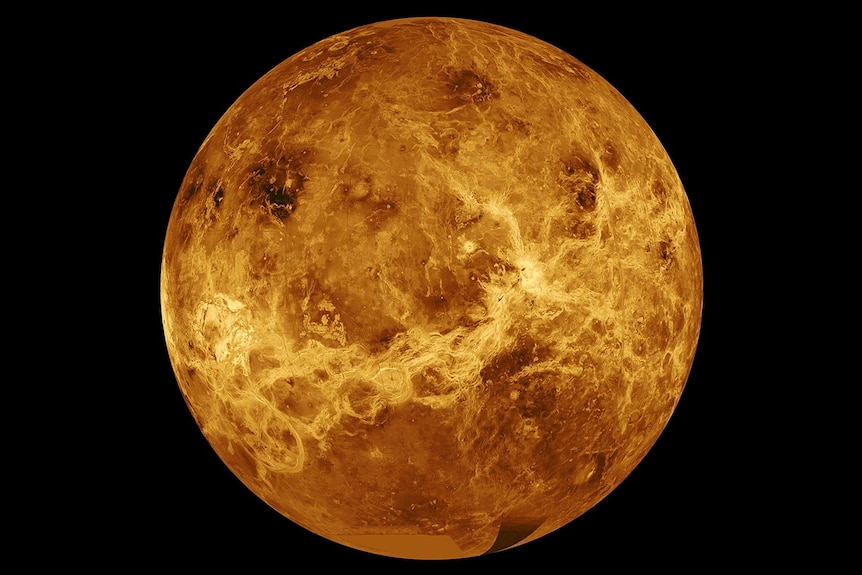 Data from NASA's Magellan spacecraft and Pioneer Venus Orbiter is used in an undated composite image of the planet Venus