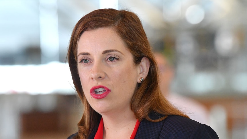 Anika Wells, federal Labor Member for Lilley, speaks at a press conference in Brisbane.