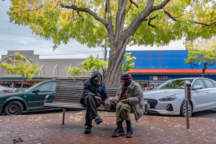 Two people in warm clothing sit on a street bench under a large tree.