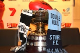 SANFL premiership cup