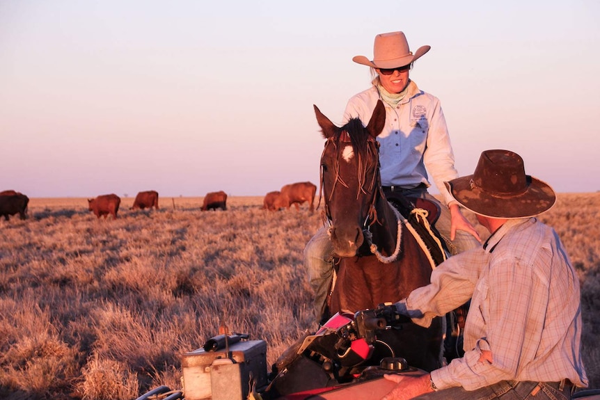 A jillaroo sits on a horse and PJ Elliott sits on a quad bike in a paddock with cattle in western Queensland.