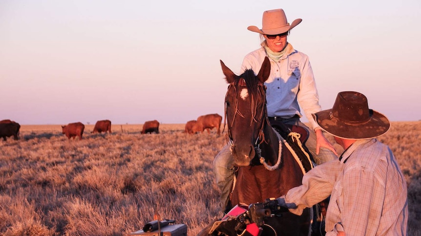 A jillaroo sits on a horse and PJ Elliott sits on a quad bike in a paddock with cattle in western Queensland.