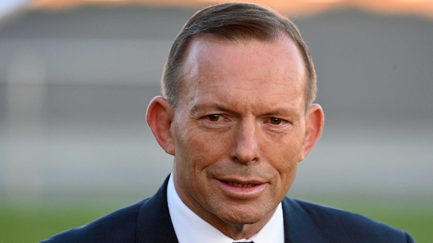 Tony Abbott speaks to journalists outside Parliament House