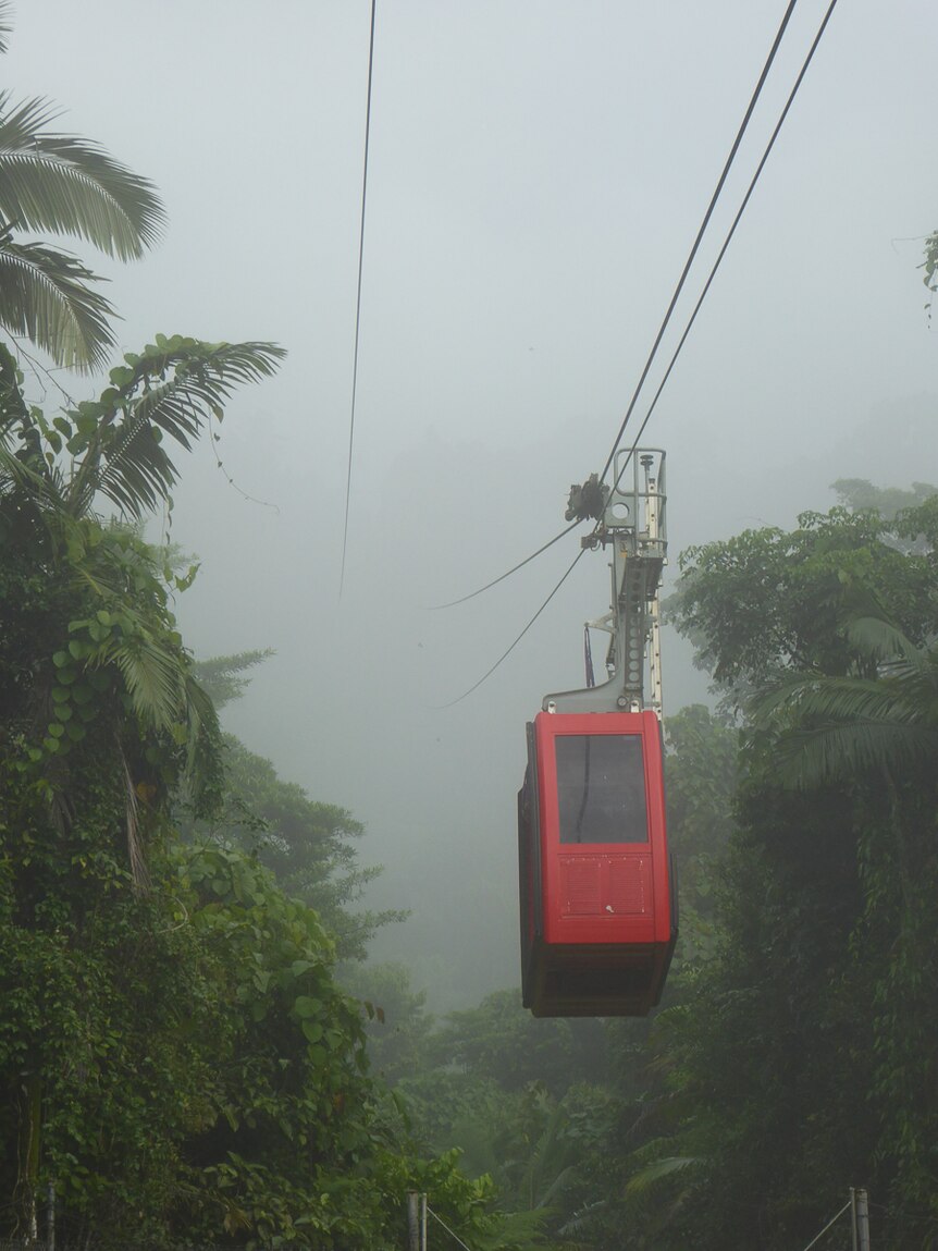 téléphérique rouge sur le point de voyager à travers la forêt tropicale brumeuse