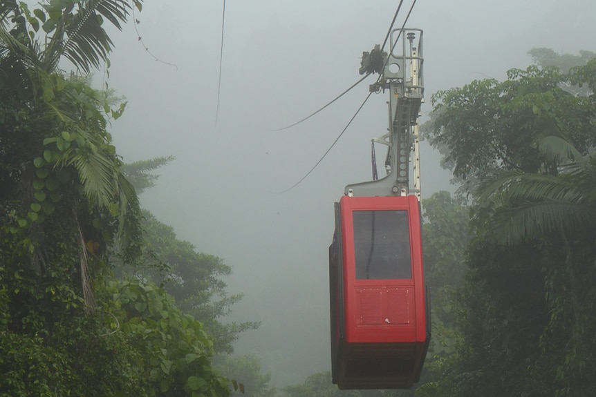 red cable car about to travel through misty rainforest