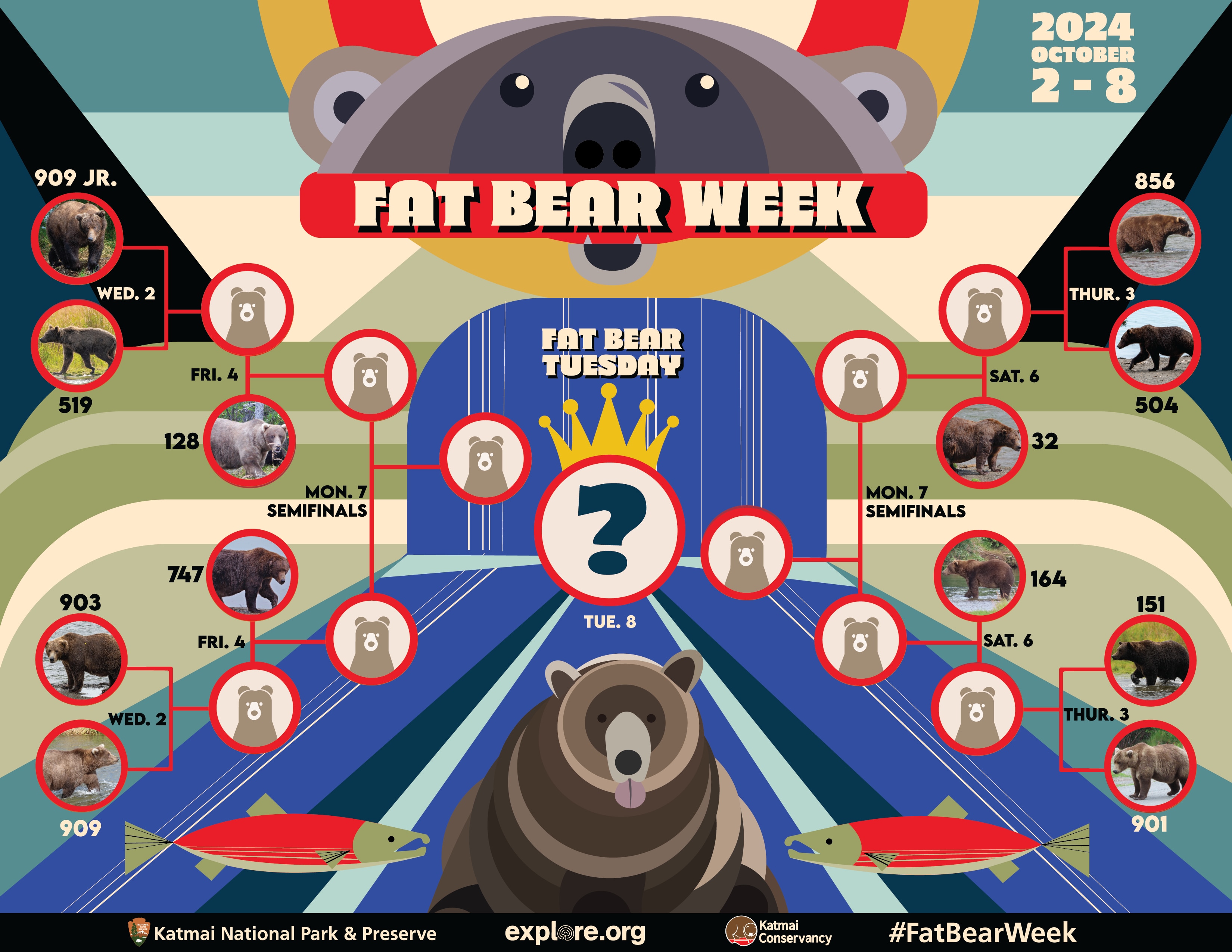 a photo that shows all the bears fighting to win the crown of fat bear week and who they are versing in each stage