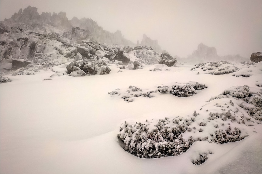 Snow covered mountain and rocks. 