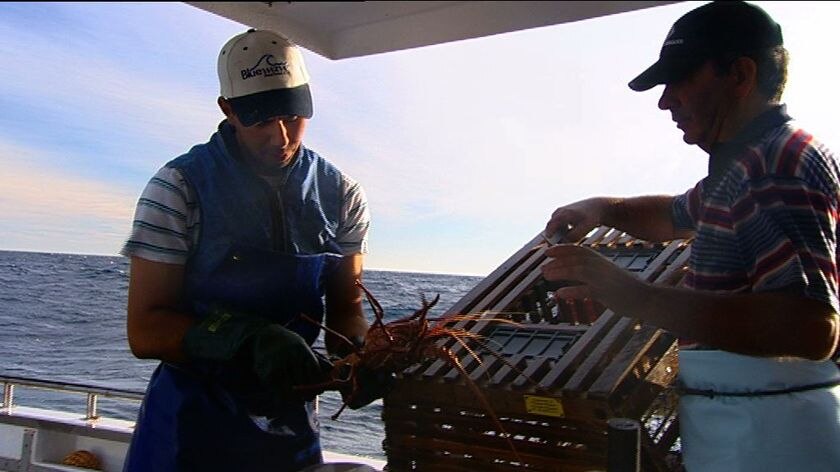 Fishing ban: James (L) and Joe Paratore have had their pot numbers dramatically reduced.