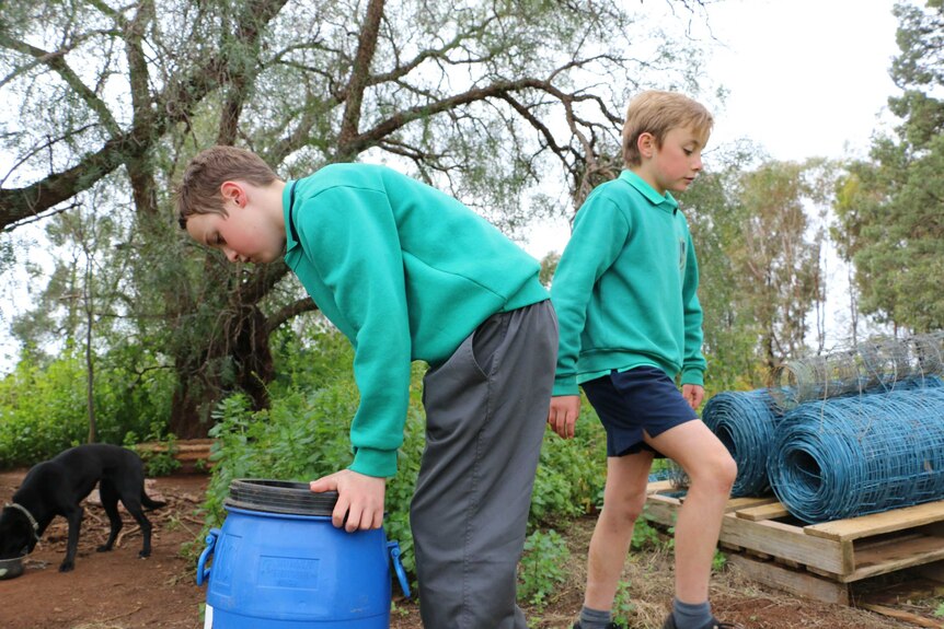 Two boys in green jerseys working, one is holding a blue bucket in a backyard.