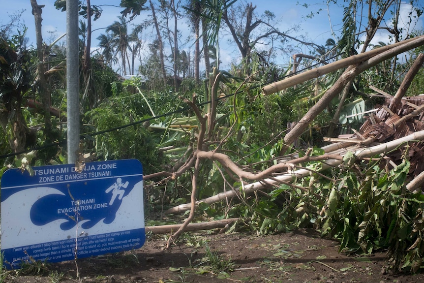 On a clear day, you see mangled trees and debris on a street with a tsunami warning sign in the foreground.