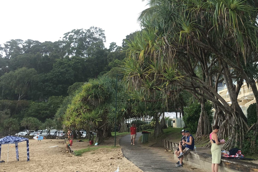 Beach scene on cloudy day with pandanus palms at the edge of the beach