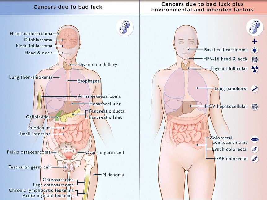 Types of cancer