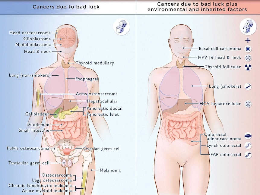 Types of cancer