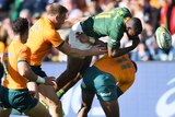 A Springboks player loses the ball as he is tackled by a Wallabies opponent.