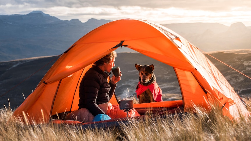 A woman and a dog sit in an orange tent amid a grassy, mountainous landscape. 