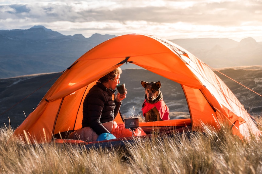 A woman and a dog sit in an orange tent amid a grassy, mountainous landscape. 