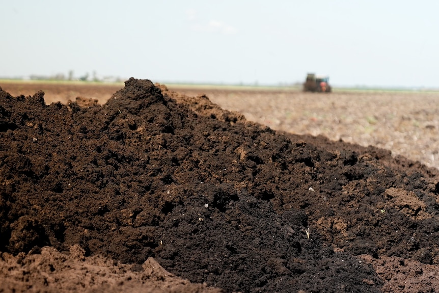 Photo de biosolides de déchets humains