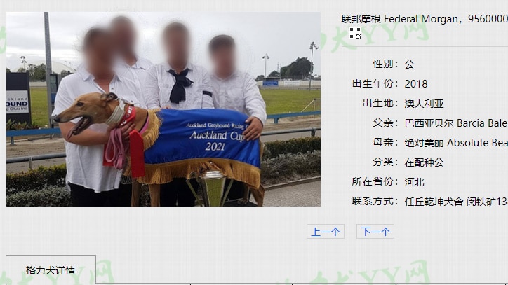 a screenshot of a greyhound on a chinese language site