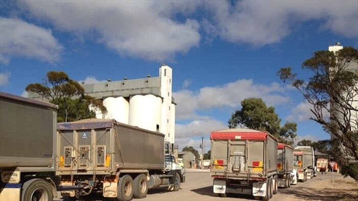Trucks loaded with grain at the silos at Kimba