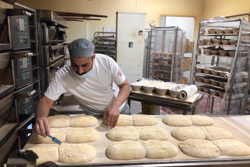 A baker looks over loaves of uncooked bread