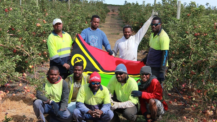 Vanuatuan visa workers in Loxton