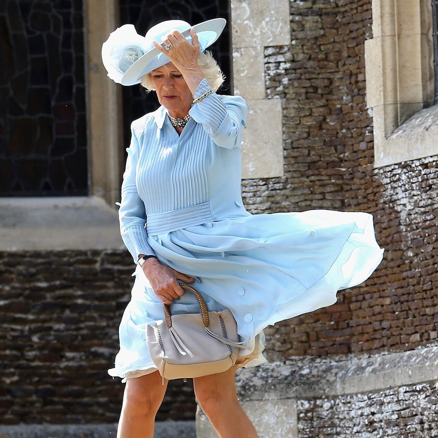 Duchess of Cornwall Camilla
