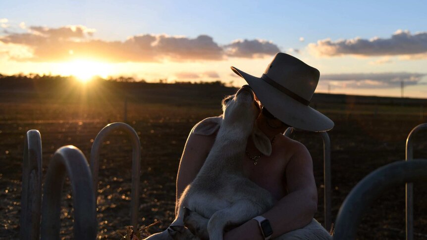 a naked woman sits in a field holding a goat as the sun sets behind her