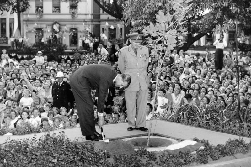 Prince Philip plants a tree