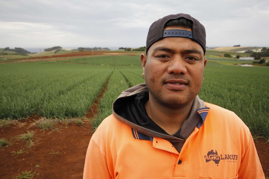 A young man in a high vis shirt and backward baseball cap smiles as he stands in front of grasses growing in a field.