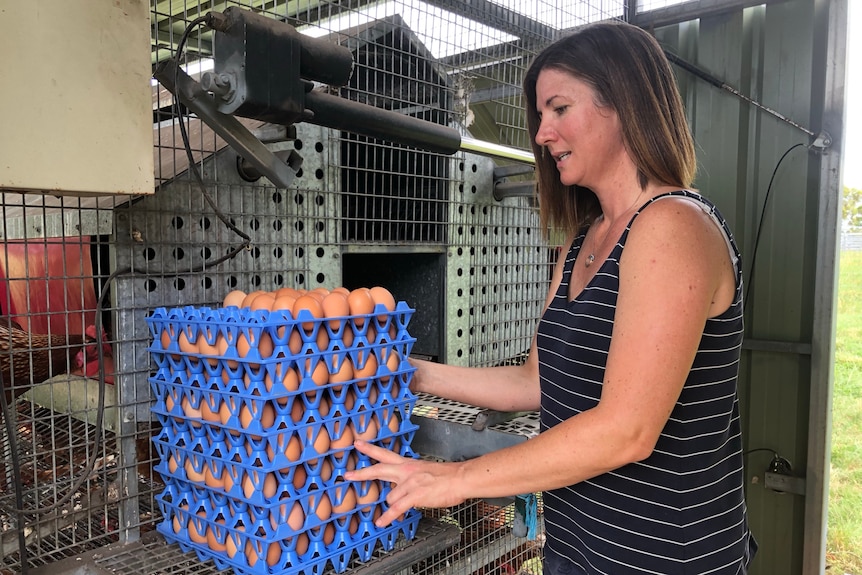 A woman stands with a stack of packed eggs at the back of the chook tractor.