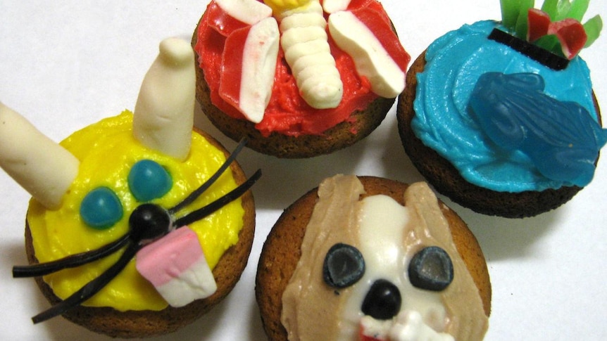 Cupcakes decorated with icing and lollies.