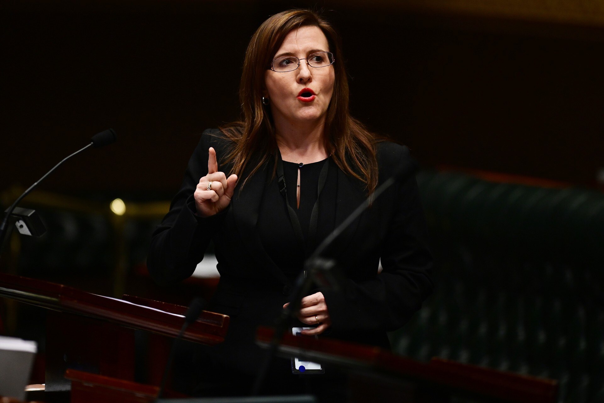 NSW Labor MP Tania Mihailuk Resigns From Party, Says Labor Not Ready To ...