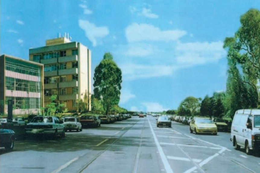 An artist's impression of Royal Parade without any elm trees, with apartments and blue sky lining the side of the road.