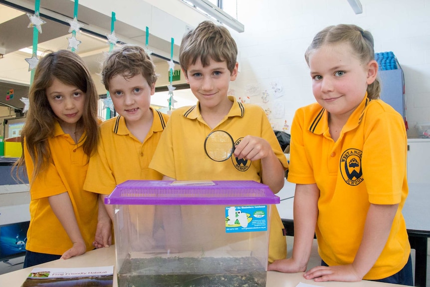 Weetangera Primary School students with tadpole kit