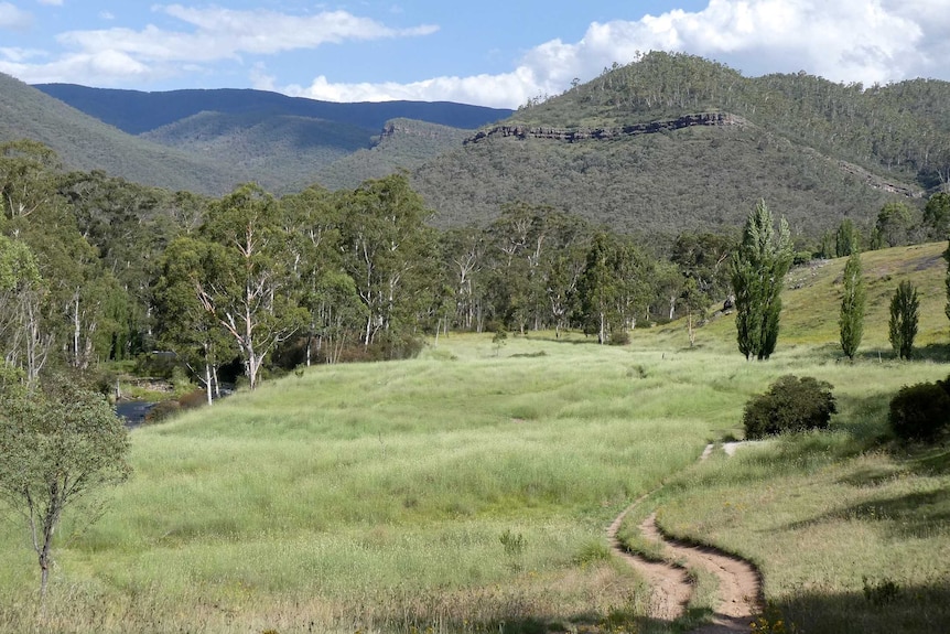 A grassy valley surrounded by mountains