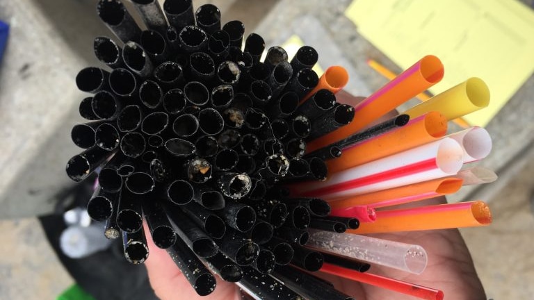ocean garbage: Straws from one beach cleanup