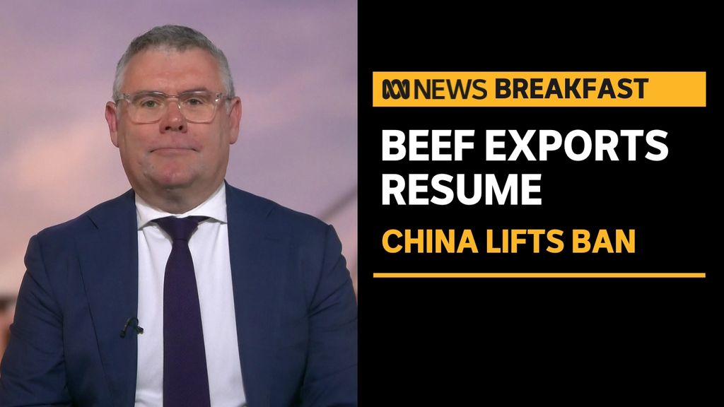 Australian beef exports to China resume after trade war suspensions ...