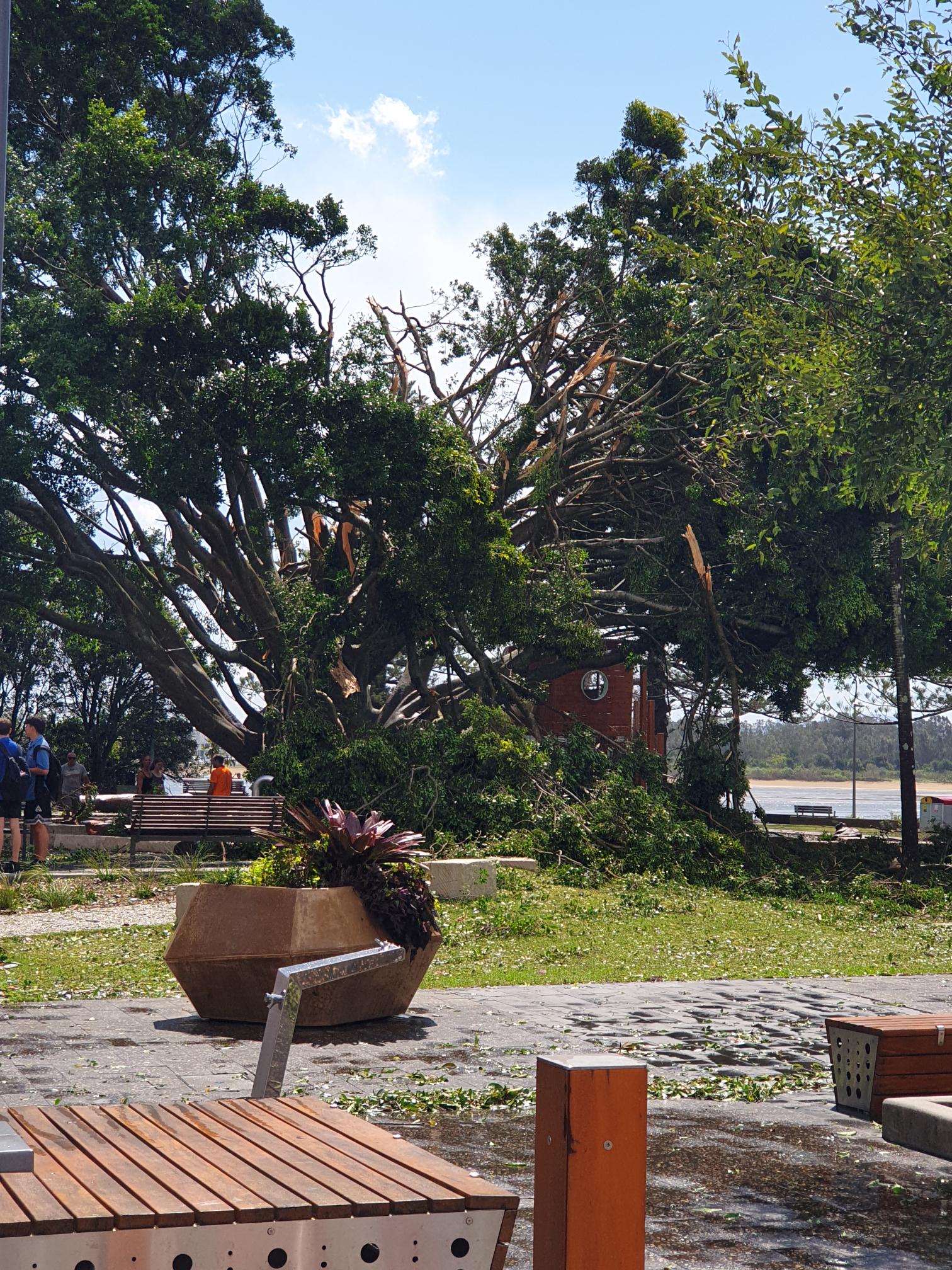 'Mini cyclone' rips through Port Macquarie, lifting roofs and bringing